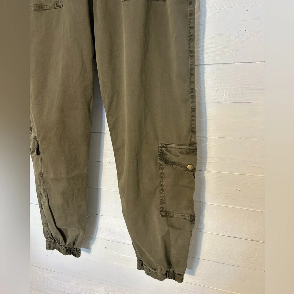 NWT Sanctuary Standard Surplus cargo/hiker joggers. Green, women’s size 30.
